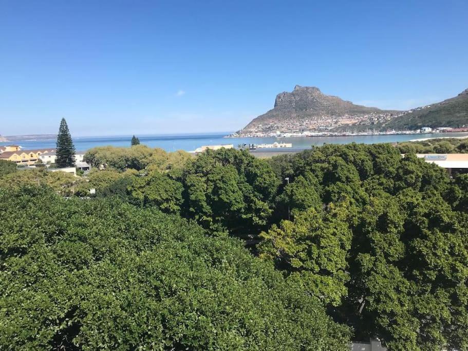 Apartmán Chapman'S Peak, Loft Mit Sea-Und Mountainview Hout Bay Exteriér fotografie