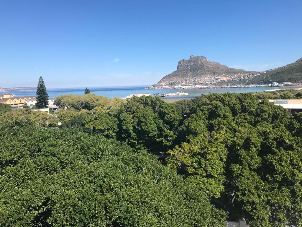 Apartmán Chapman'S Peak, Loft Mit Sea-Und Mountainview Hout Bay Exteriér fotografie